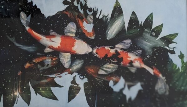 Estruos Koi