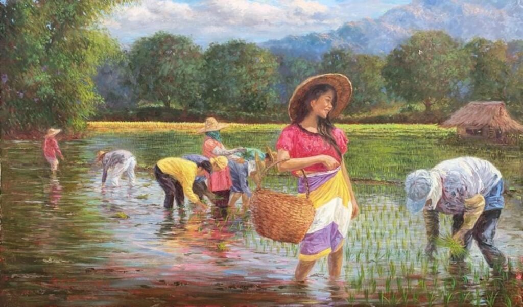 Rice Harvest