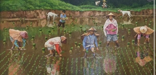 Rice Planting Rice Planting