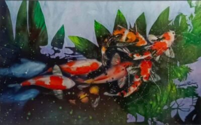 ornamental fish Ornamental Fish