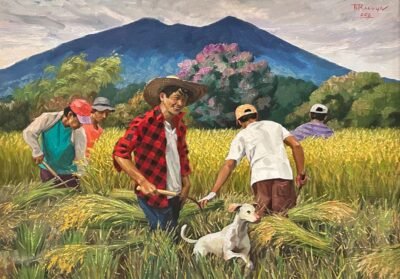 Rejoicing For This Bountiful Harvest