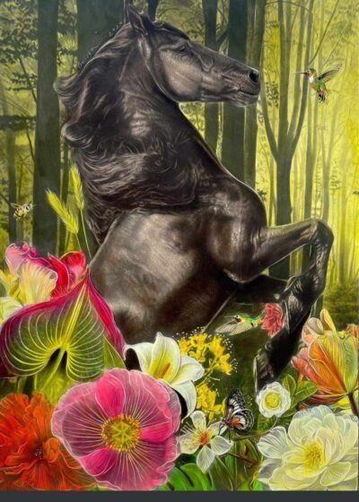 Unbridled Spirit: The Spirited Horse's Gallop