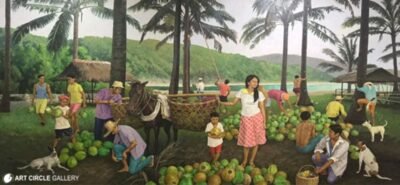 Coconut Harvest