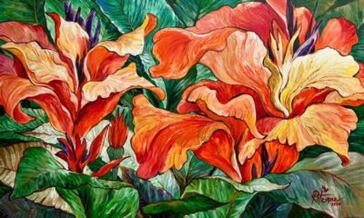 Canna Lily