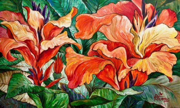 Canna Lily