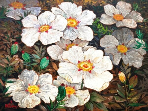 Rock Roses