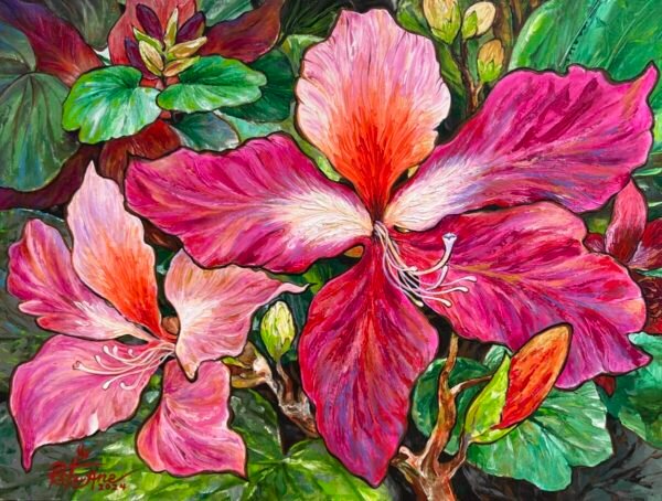 Hongkong Orchid Tree