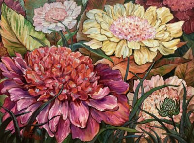 Scabiosa Japonica Flower