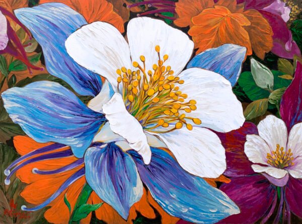 Colorado / Aquilegia Flower