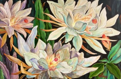 Night Blooming Flower