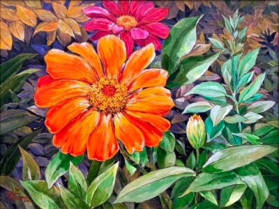 roderick sta. ana 27068 Zinnia Flower