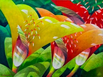 fil dumalo 28649 Bromeliad