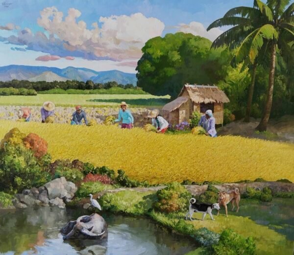 teody racuya 28860 Golden Grains