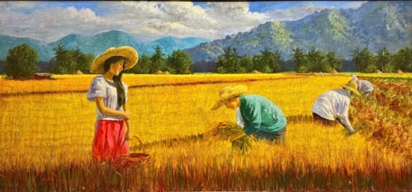 Rice Harvest