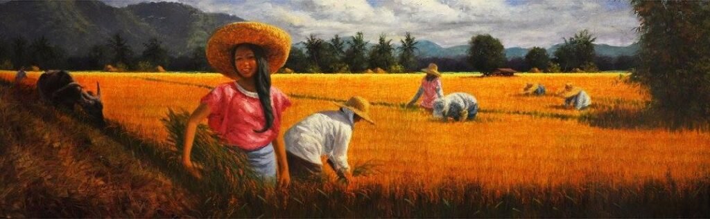 Rice Harvest