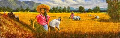 scan-from-2026-05-23-09_53_59-pm Rice Harvest