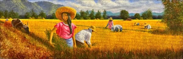 Rice Harvest