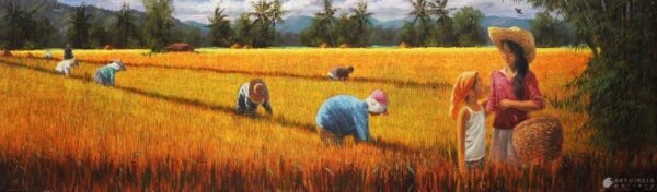 Rice Harvest