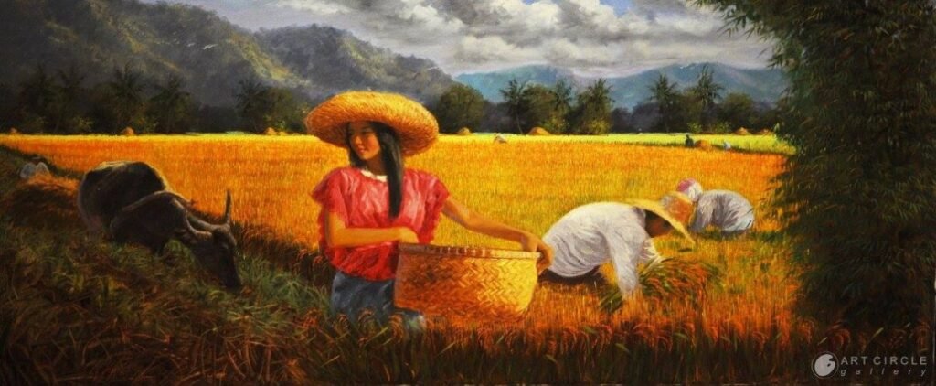Rice Harvest