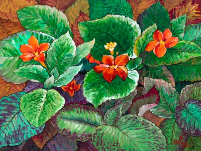 Episcia Clipreta Flame Violet