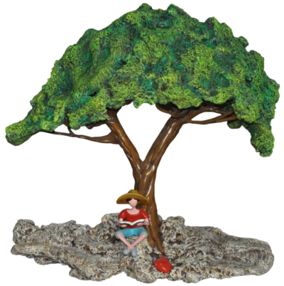 Under the Canopy of Wisdom