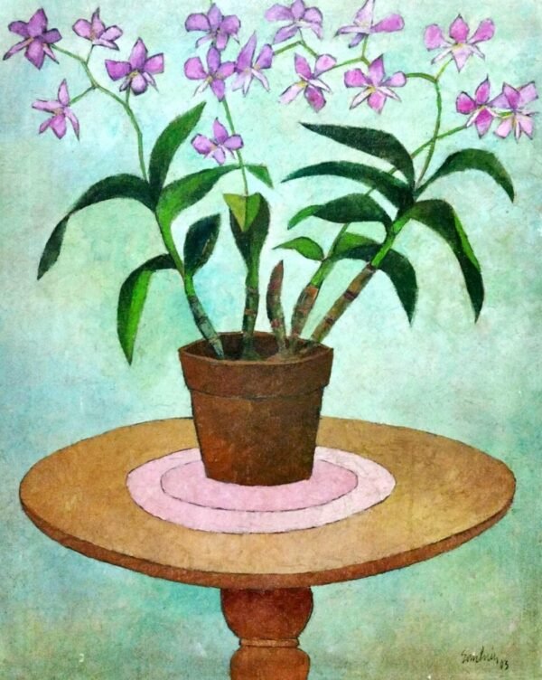 blaine san luis 0123 Orchid in Teal Light