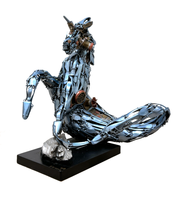 fhiex orozco 24010 Unippocampus