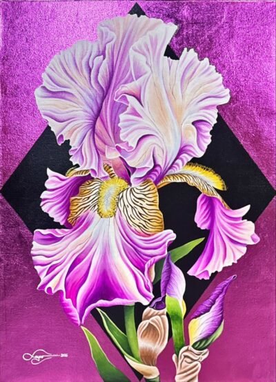 justin layco JL 29547 Magenta