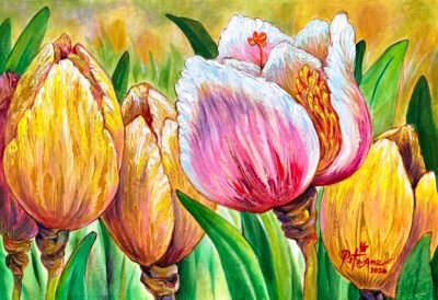 Hybrid Tulip