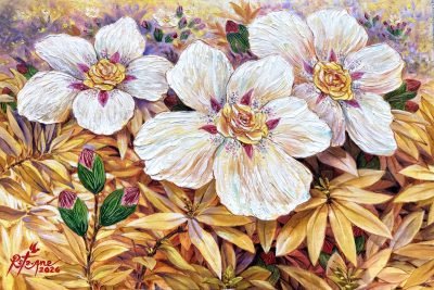 Rock Roses
