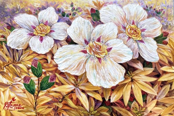 Rock Roses