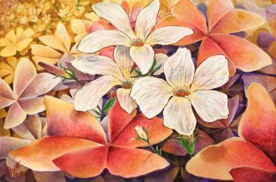 Wings of Bloom