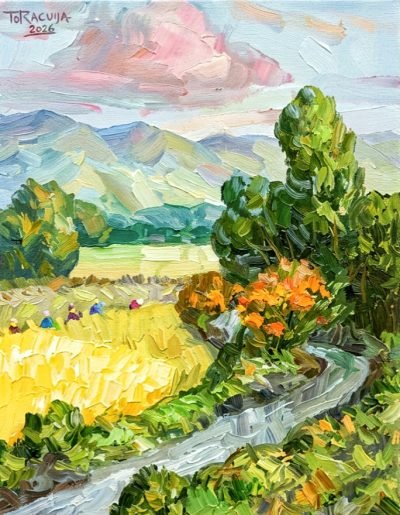 Fields of Respite