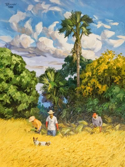 The Midday Harvest