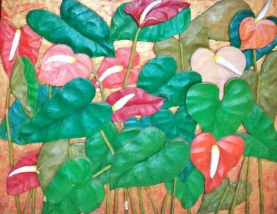 Anthurium Series