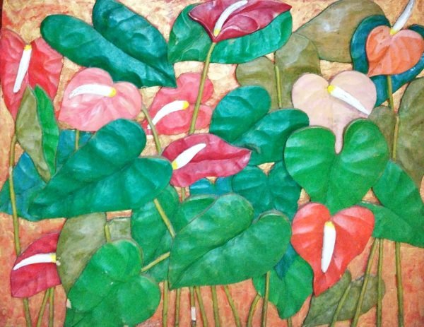 Anthurium Series