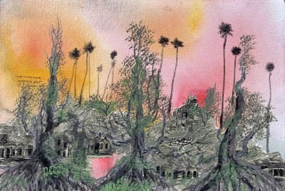 Palm Trees and Banyan Trees Aiming to the Sky